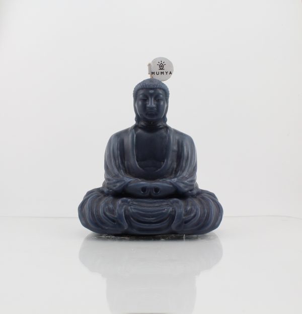 Buddha - Görsel 4