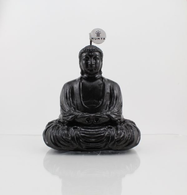 Buddha - Görsel 6