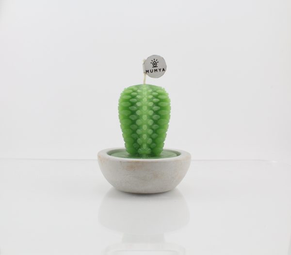 Kaktüs Mum - Görsel 3