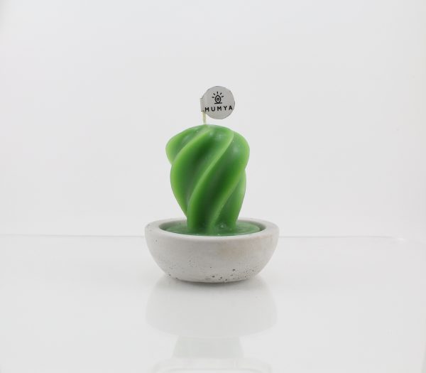Kaktüs Mum - Görsel 4