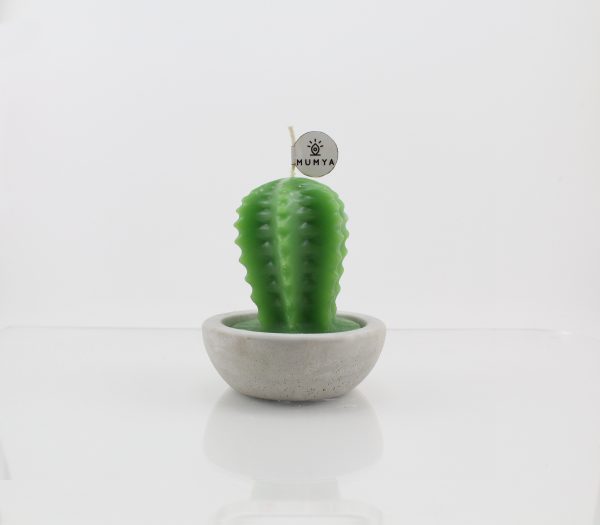 Kaktüs Mum - Görsel 2